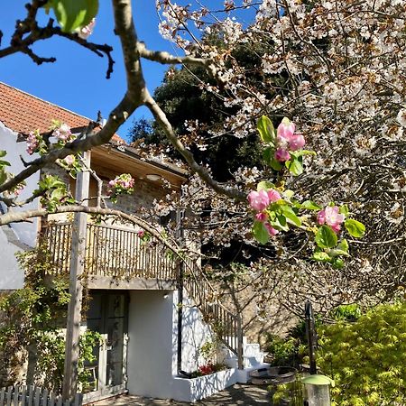 Westbury Cross House Bed & Breakfast Екстер'єр фото