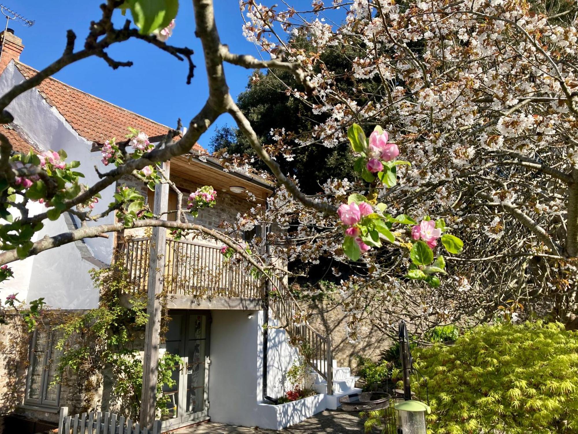 Westbury Cross House Bed & Breakfast Екстер'єр фото